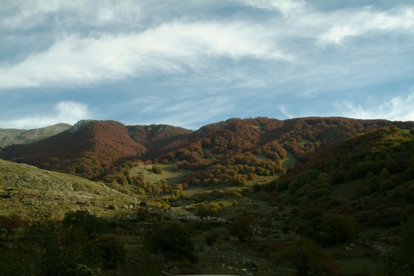 Escursione nel P.N. d''Abruzzo